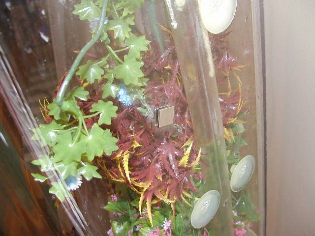 P5240077.JPG P5240077.JPG