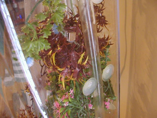 P5240078.JPG P5240078.JPG