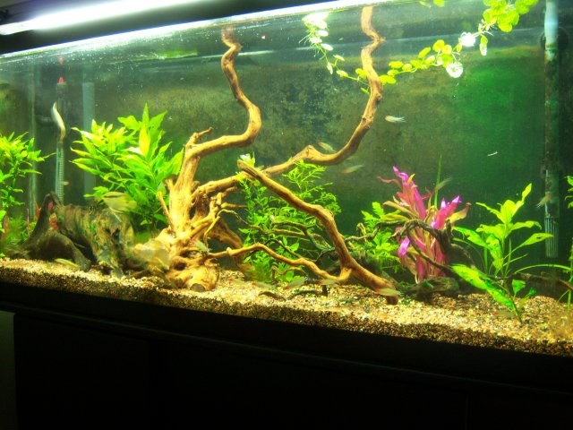 55BR2 052308.jpg