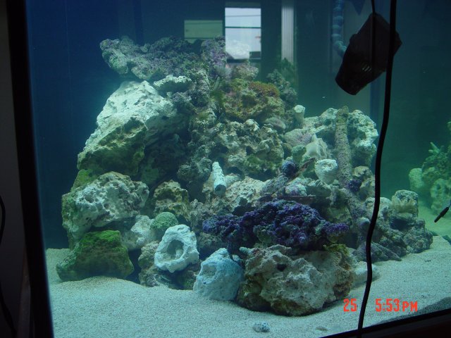 DSC00266.JPG