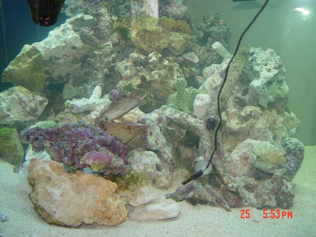 DSC00268.JPG