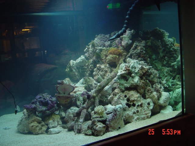DSC00272.JPG