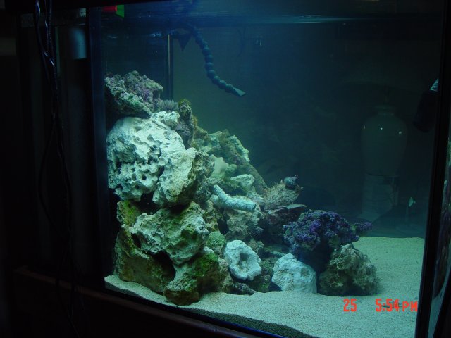 DSC00274.JPG