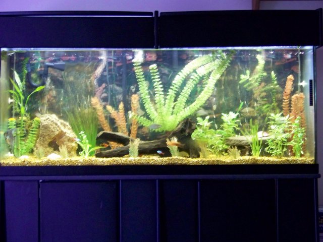100_0107.jpg