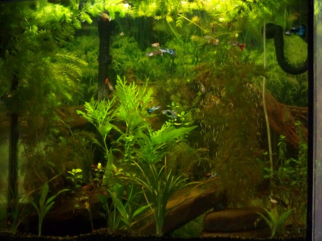 100_0109.jpg