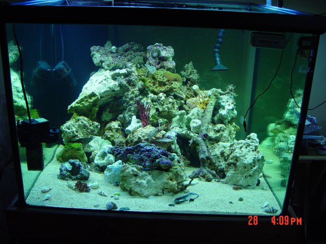 DSC00292.JPG