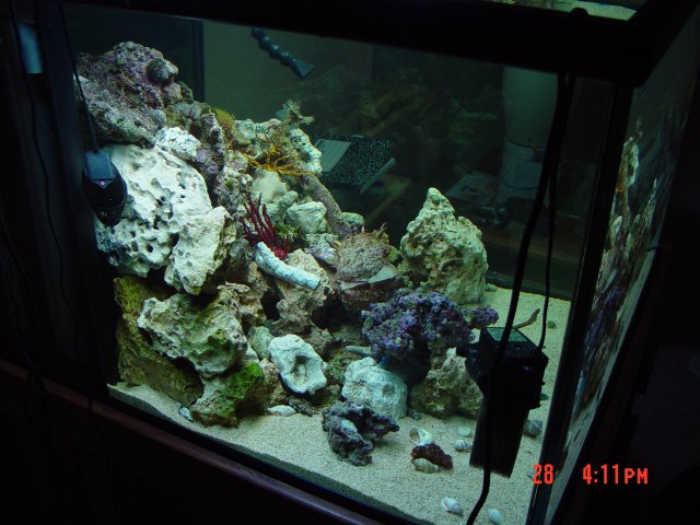 DSC00298.JPG