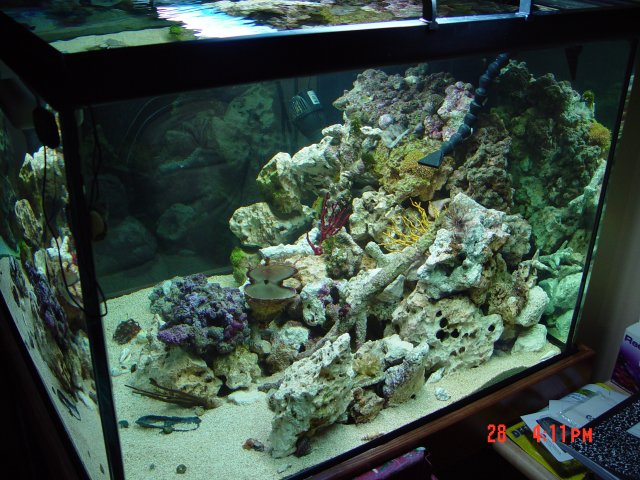 DSC00299.JPG