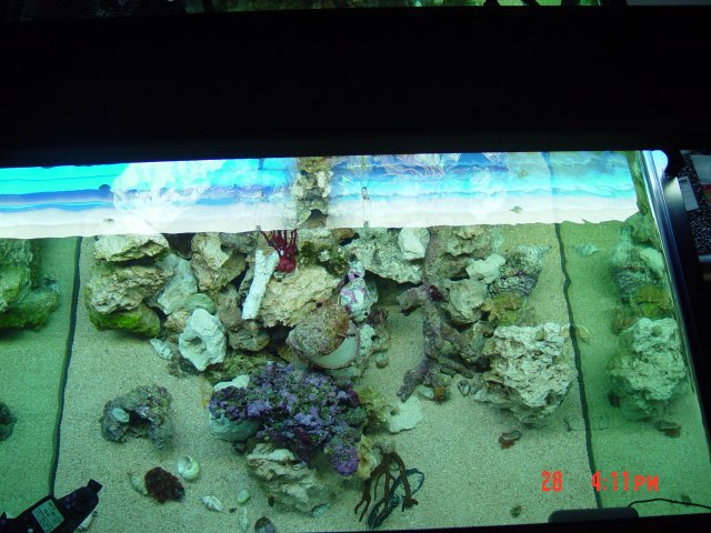 DSC00301.JPG