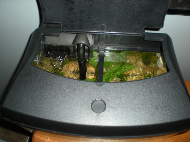 DSCN0148.JPG