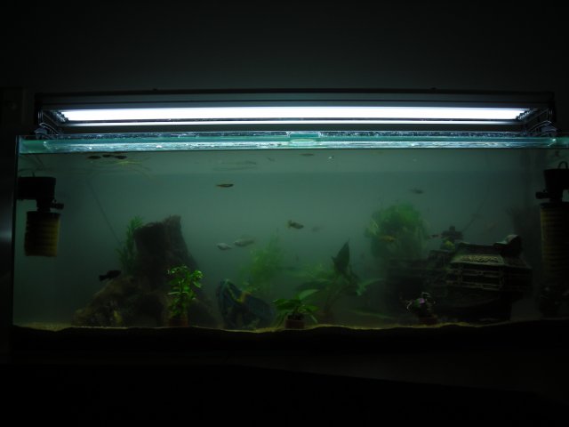 DSCN0404.JPG DSCN0404.JPG