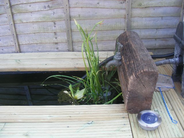 2008_0531tank0097.JPG