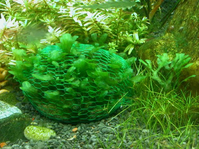 DSCN7202.JPG DSCN7202.JPG