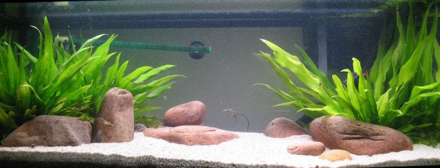 20L_2b.jpg