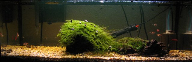 20L_3.jpg