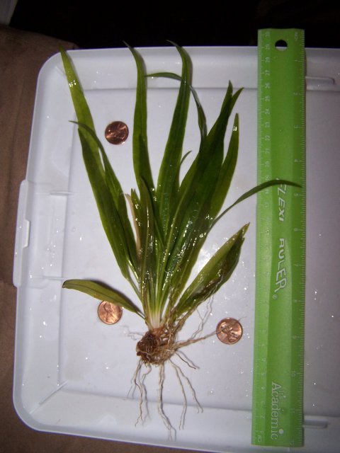 100_6098.JPG