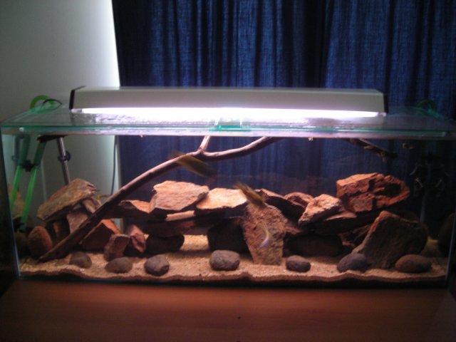 DSCN0341.JPG