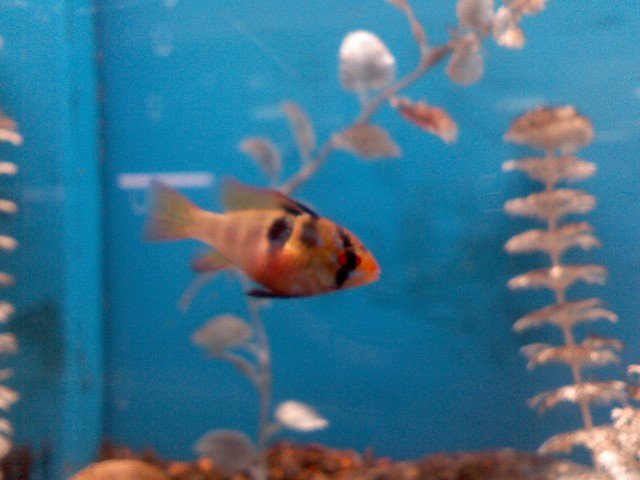 0602081219b.jpg