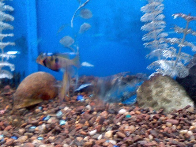 0602081219.jpg