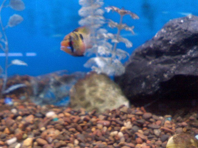 0602081219a.jpg