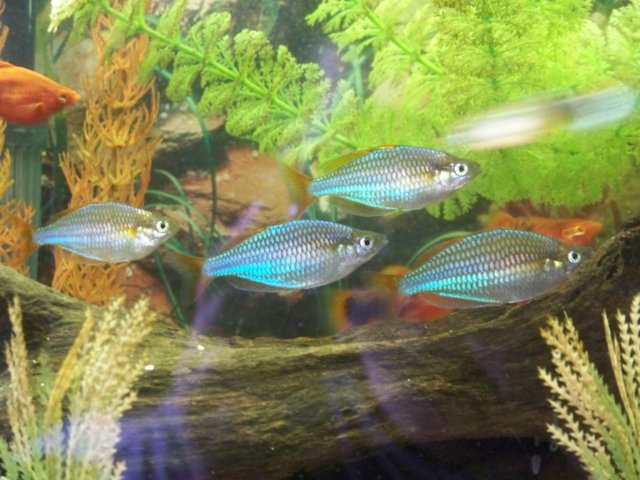 100_0100.jpg