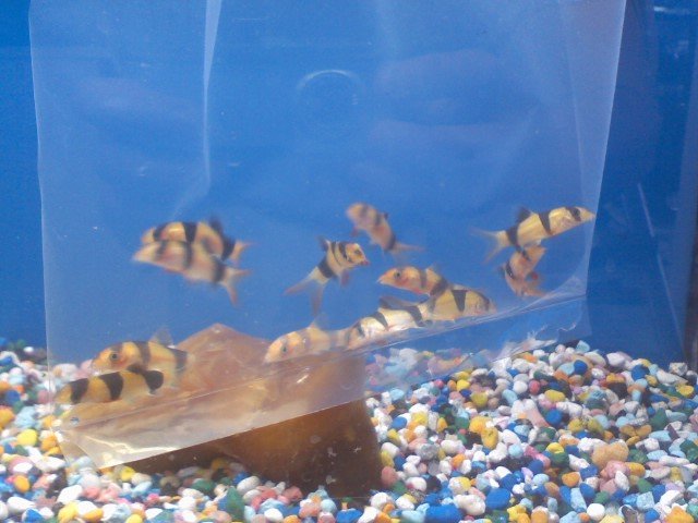 0604081508.jpg