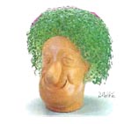 chia-heads.jpg
