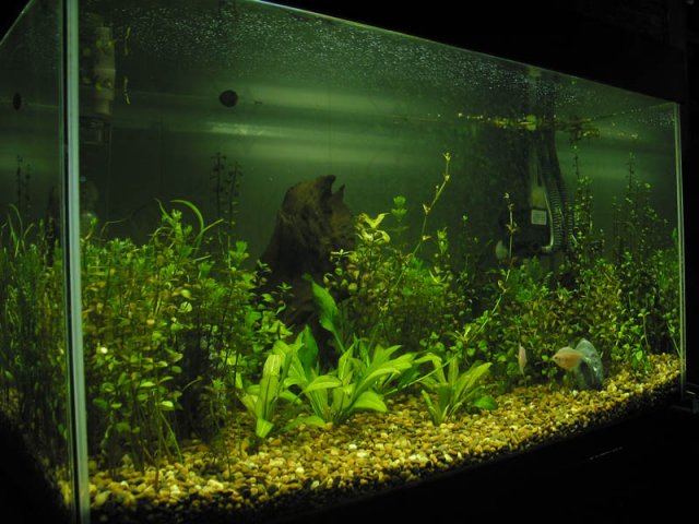Picture 006a.jpg