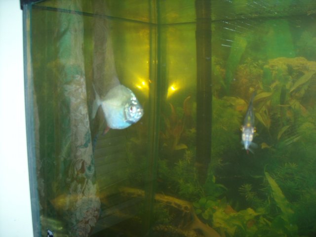 DSCN0142.JPG