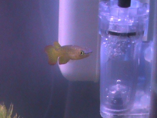 DSC00022.JPG