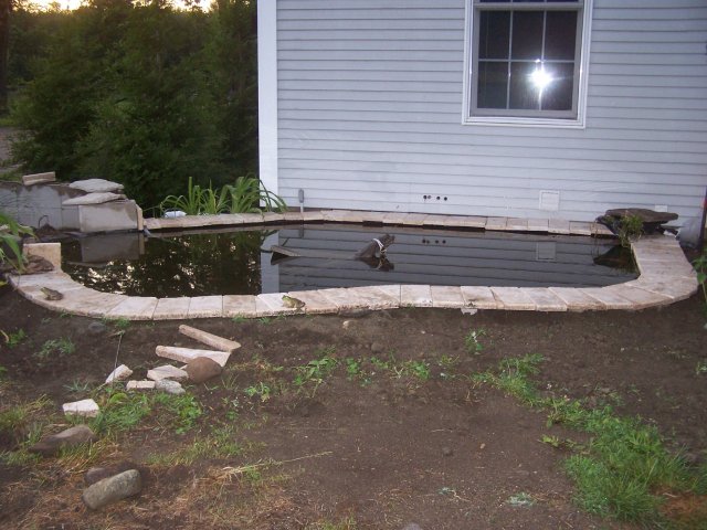 pond 008.jpg