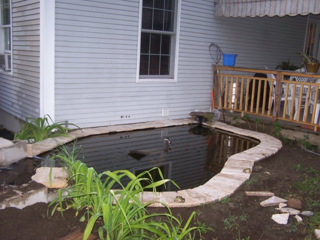 pond 009.jpg