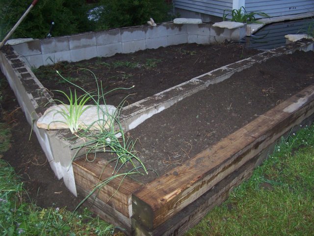 pond 011.jpg