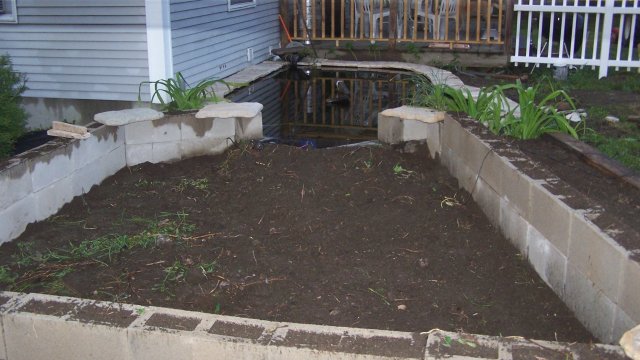 pond 012.jpg
