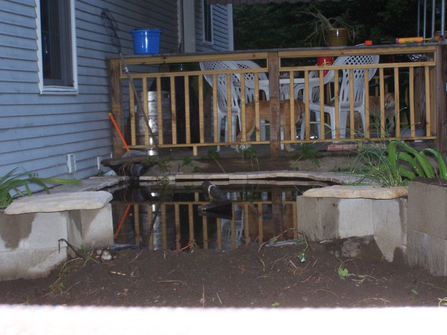pond 013.jpg