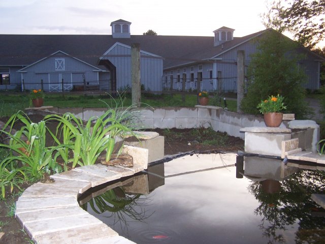 pond 015.jpg