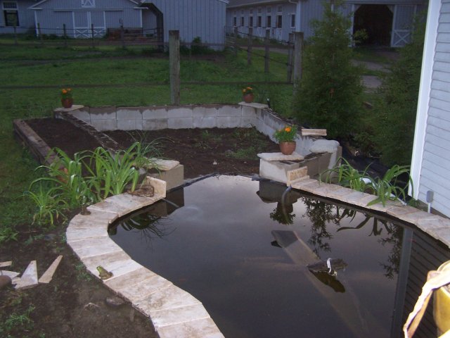 pond 016.jpg