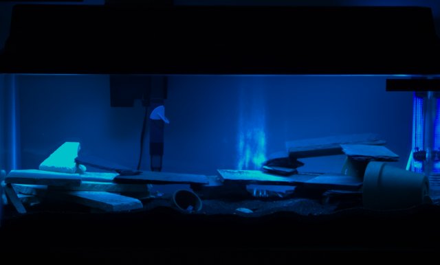 tank.jpg