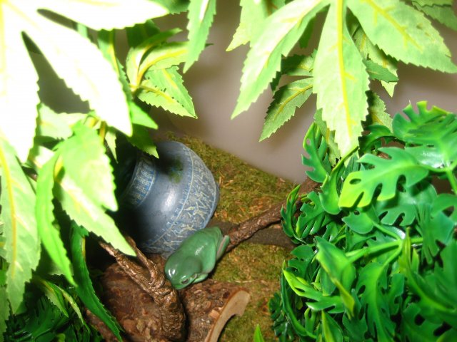 IMG_1227.jpg