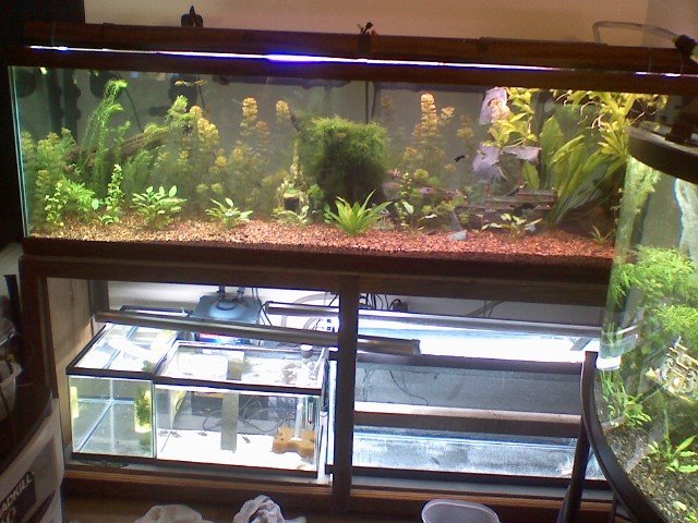0608080104.jpg