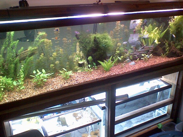 0608080149.jpg