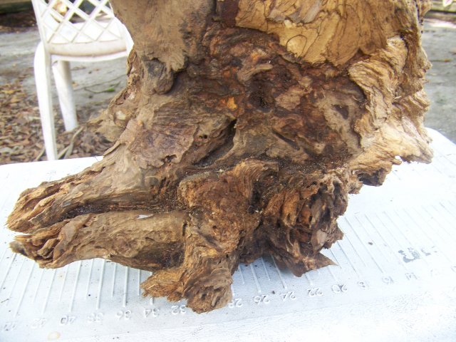 Picture 003.jpg