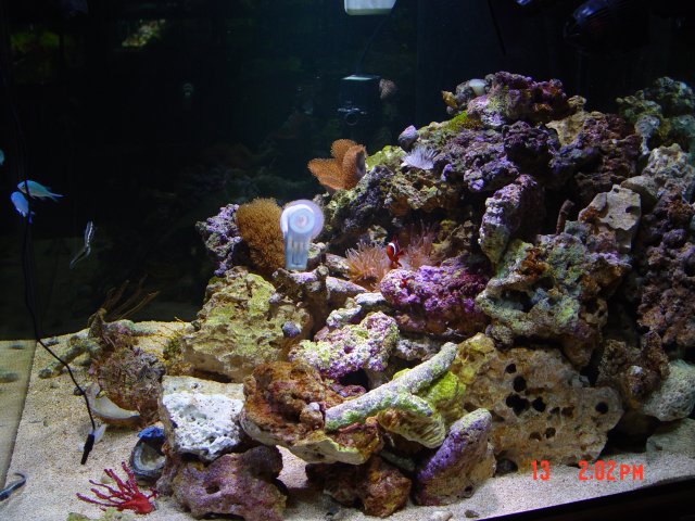 DSC00424.JPG