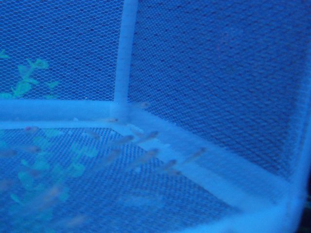 100_6023.JPG