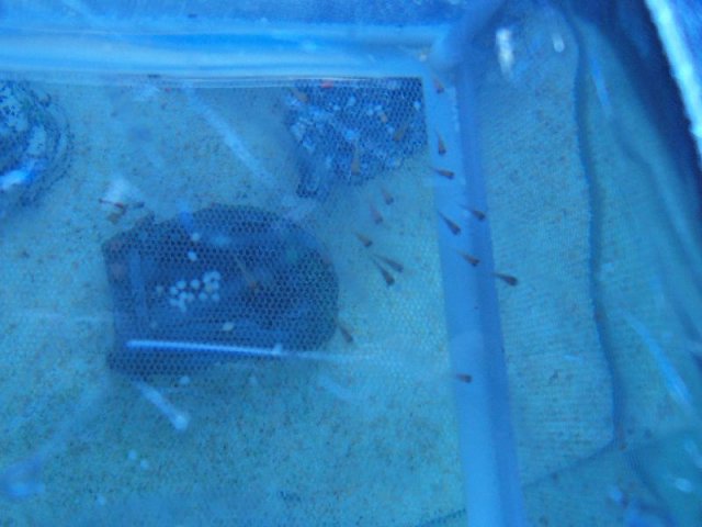 100_6026.JPG