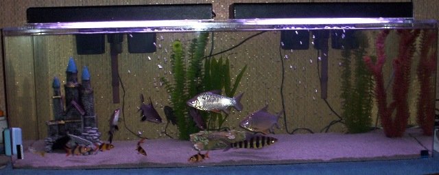 100_3877.JPG