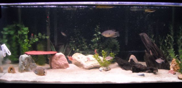 fullshot1.jpg