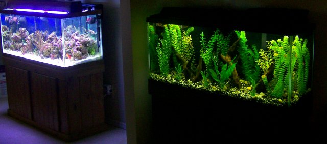 100_3503.jpg 100_3503.jpg
