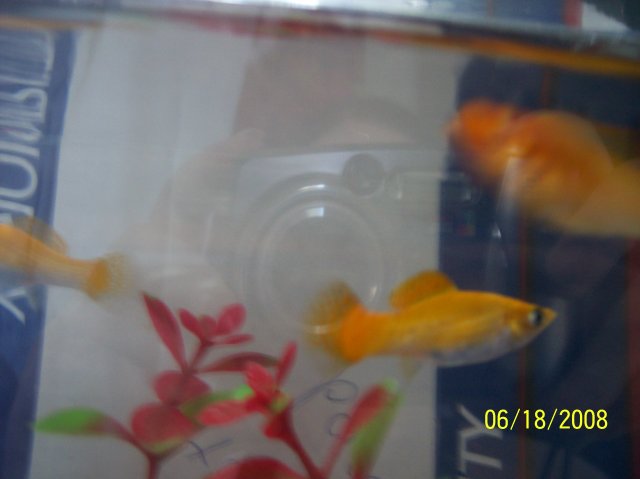 100_0276.JPG