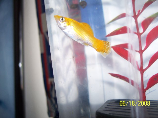 100_0278.JPG